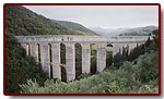 wochy200311_small.jpg