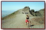 wochy200319_small.jpg