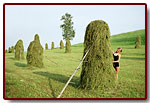 karpaty200416_small.jpg