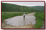 karpaty20045_small.jpg