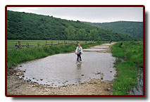 karpaty20045_small.jpg