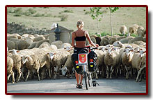 hiszpania2005najciekawszezdjcia13_small.jpg