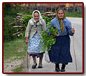 bakany200617_small.jpg