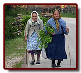 bakany200617_small.jpg