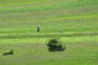 parknarodowyprespaalbania14_small.jpg