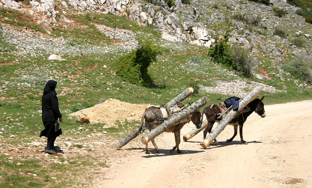 parknarodowyprespaalbania8.jpg