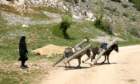 parknarodowyprespaalbania8_small.jpg