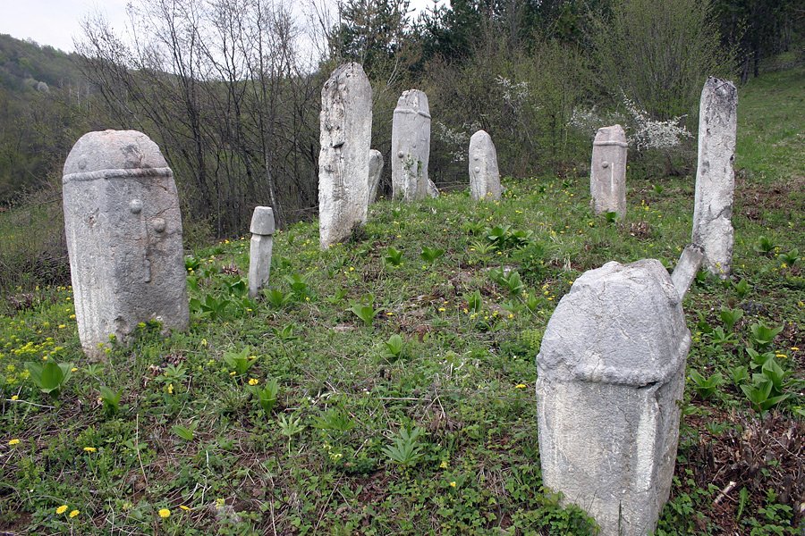 steci.jpg