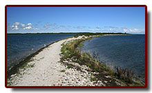 estonia200711_small.jpg