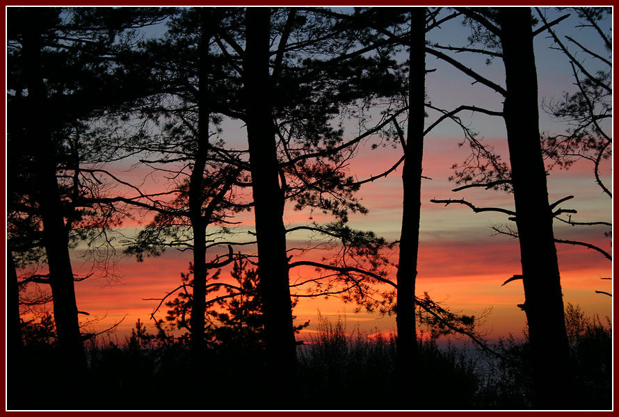estonia2007.jpg