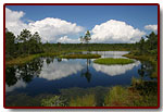 estonia20077_small.jpg