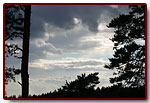 estonia20078_small.jpg