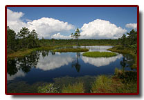 estonia20077_small.jpg