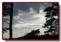 estonia20078_small.jpg