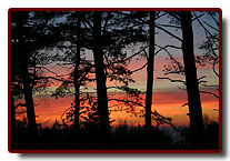 estonia2007_small.jpg