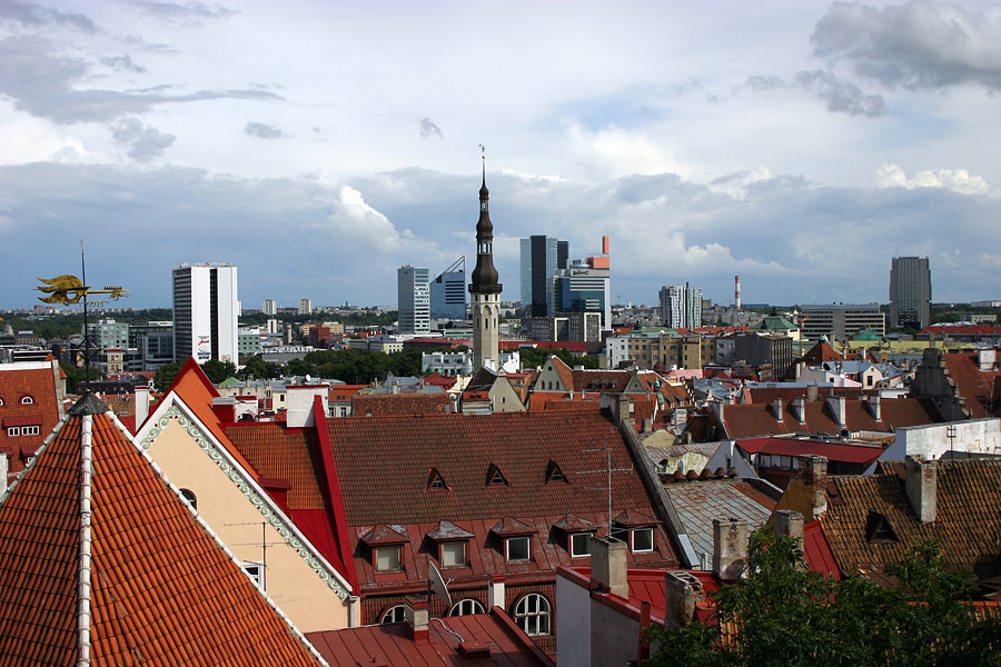 tallinn5.jpg