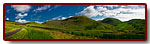 Scotland - Galloway Forest Park