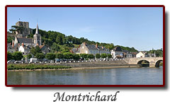 Château de Montrichard