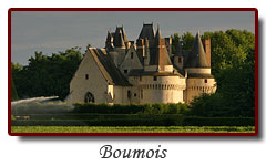 Château de Boumois