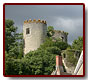 france_loire16_mini.jpg