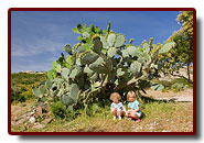 corse_02_08a.jpg