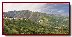 corse_03_01a.jpg