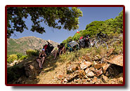 corse_04_08a.jpg