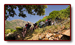 corse_04_08b.jpg
