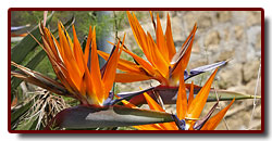 corse_05_07a.jpg