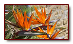 corse_05_07.jpg
