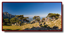 corse_06_12a.jpg