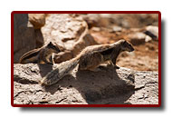 fuerteventura_08a.jpg