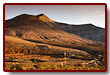 fuerteventura_11b.jpg