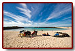 fuerteventura_16b.jpg