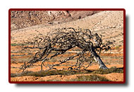fuerteventura_19a.jpg