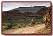 grancanaria_09b.jpg