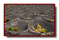 lanzarote_15a.jpg
