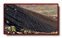 teneryfa_05a.jpg